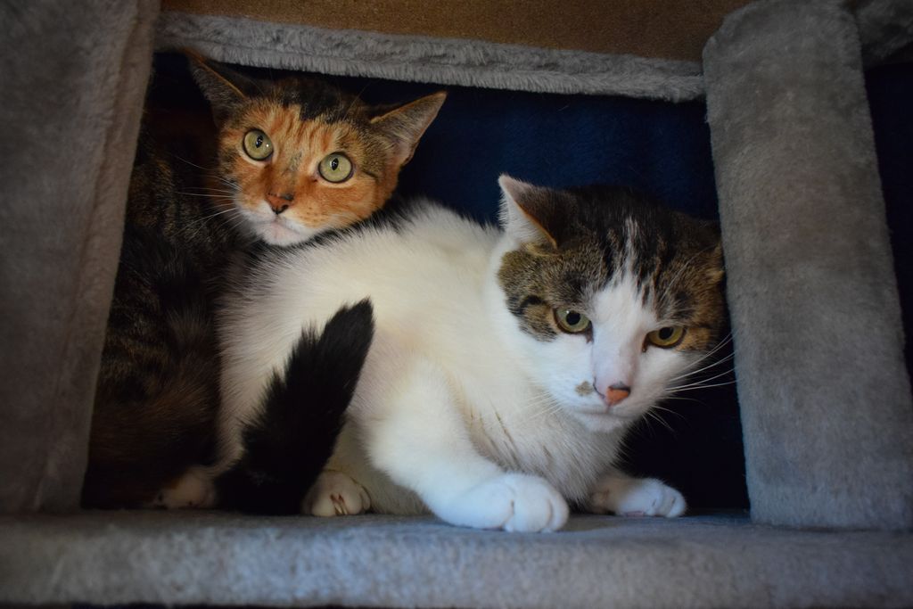 Lilly und Charly