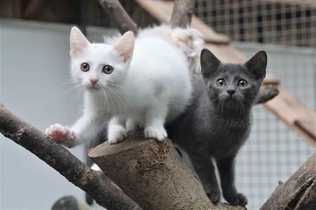 Bettina -  - Bild 12