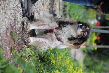 Lucy