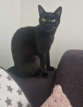 Ina