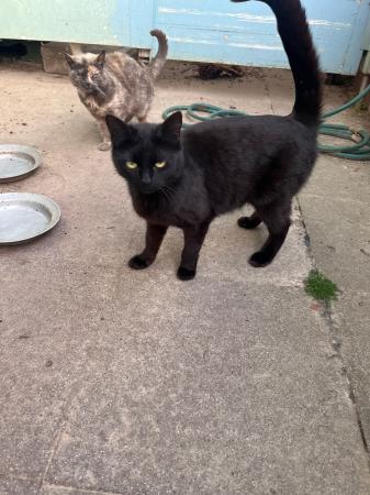 Blacky (Poldering 2)