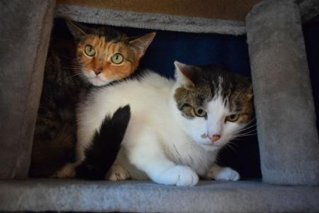 Lilly und Charly