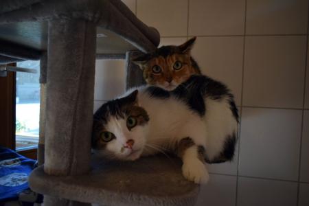 Lilly und Charly