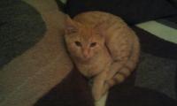 Pumuckl