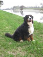 Rana
