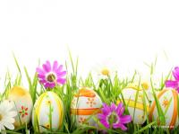 Osterspaziergang ins Tierheim am Karsamstag, 31. März 2018 von 14-17 Uhr Osterspaziergang ins Tierheim am Karsamstag, 31. März 2018 von 14-17 Uhr