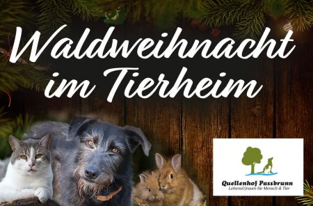 Waldweihnacht im Tierheim 