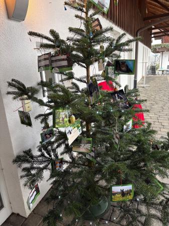 Bescherung für die Tiere