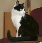 Warten auf die Besucher