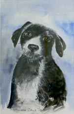 Verkaufsausstellung der Künstlerin Annemarie Wenk